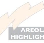 areaol-highlighter-areola-pigment-color-for-microp