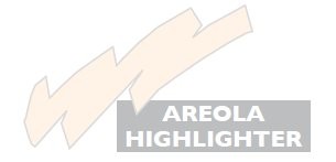 Areola Highlighter